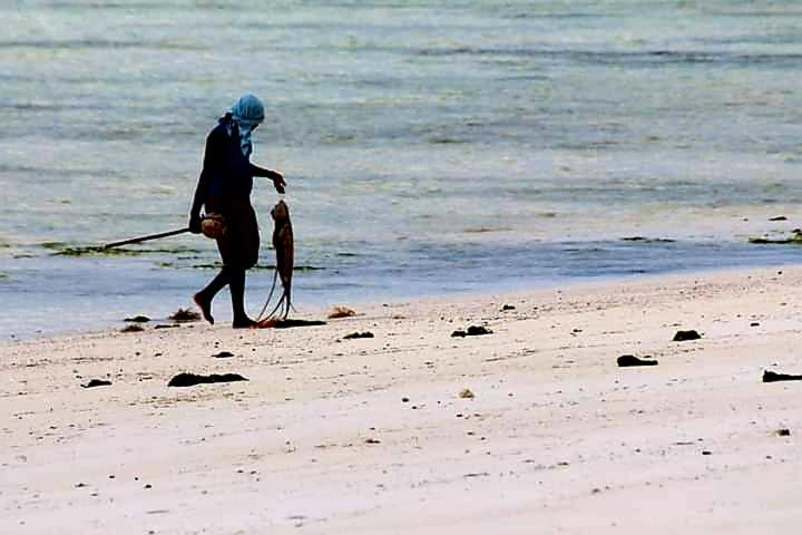 New Iddi Jambiani (Zanzibar)